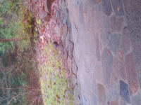 wp_20151228_001.jpg